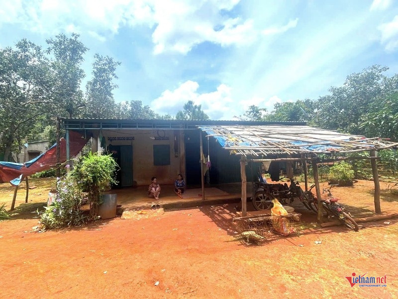 W-Giải cứu khỏi hang ổ lừa đảo 4.jpg