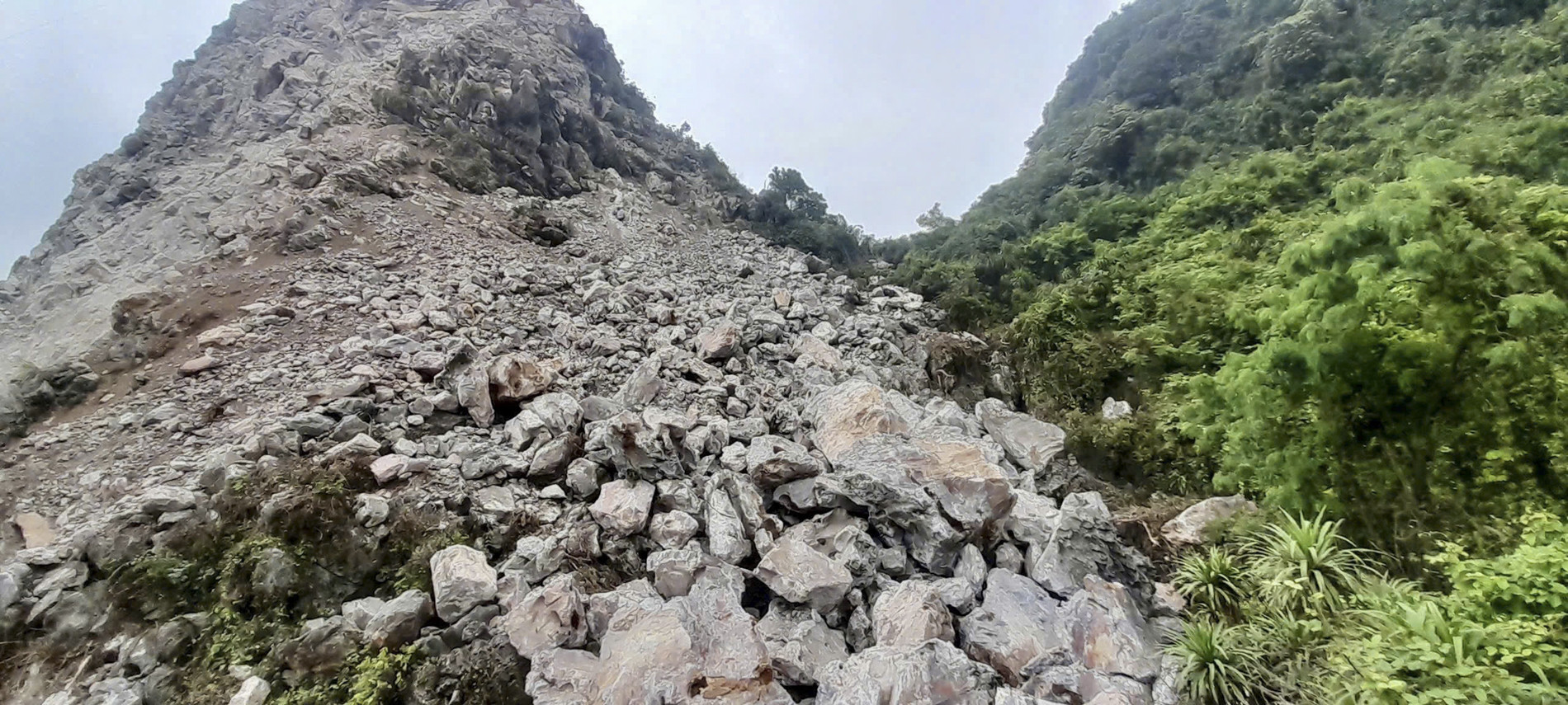 cổ chất_2.jpg