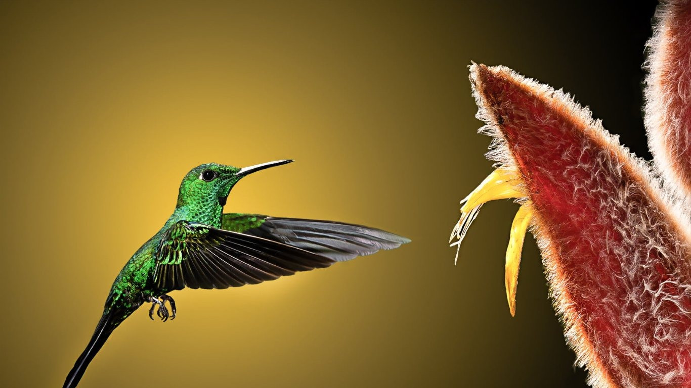 Ngày sinh Âm lịch của người có vận may nổi bật, tiền tài vượng phát- Ảnh 1.