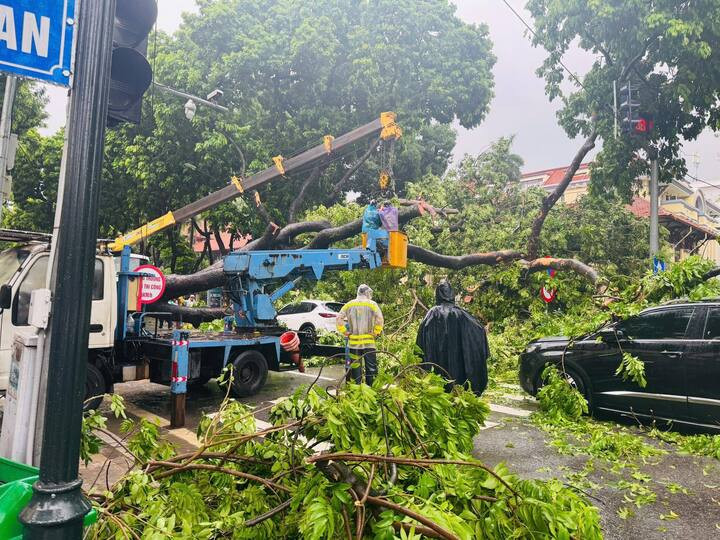 Công ty Cây xanh Hà Nội khẩn trương cưa cắt, di dời cây đổ.