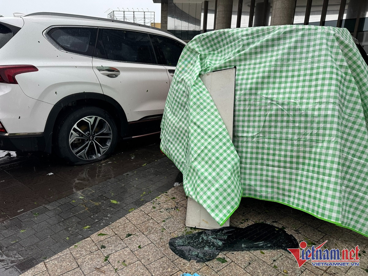 W-xe bể kính 12.jpg