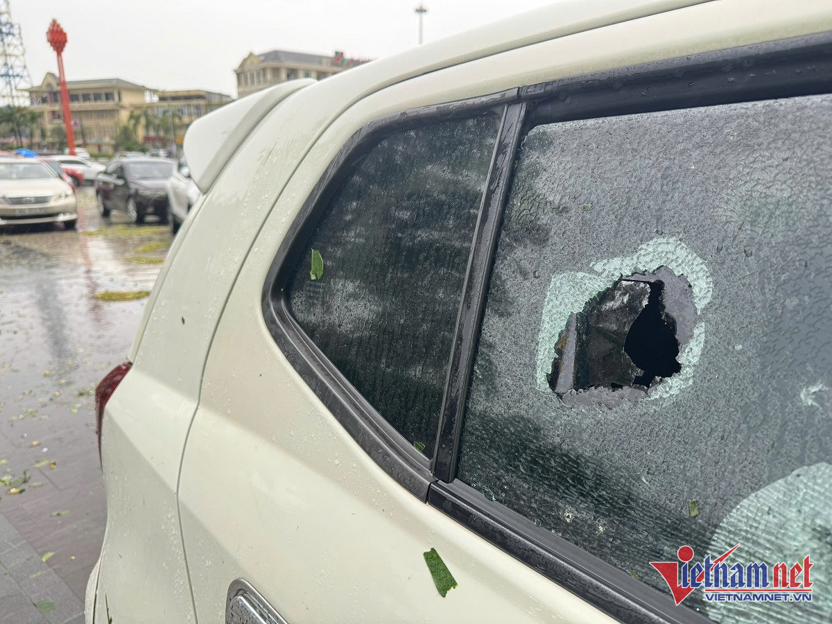 W-xe bể kính 8.jpg