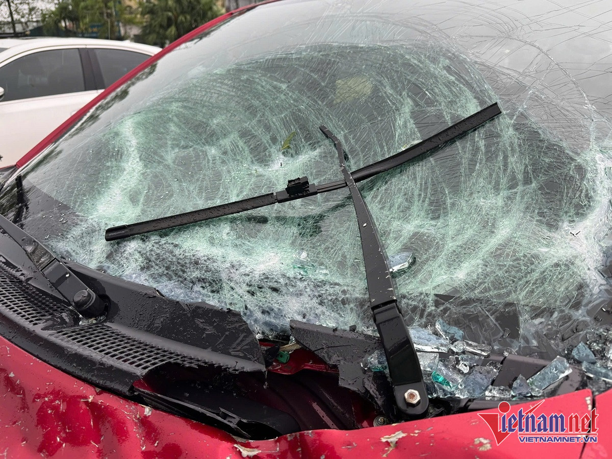 W-xe bể  kính 5.jpg