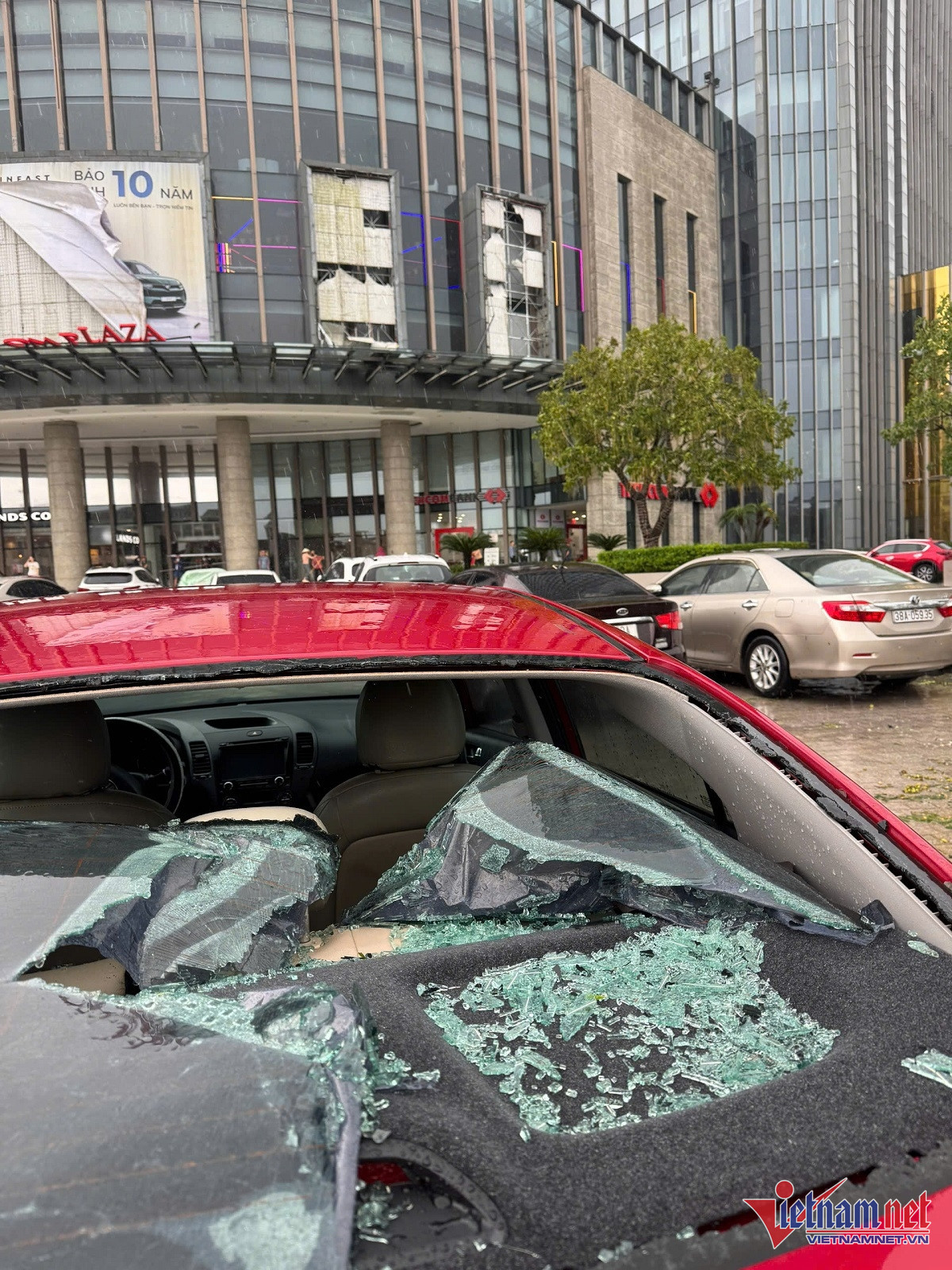 W-xe bể kính 1.jpg