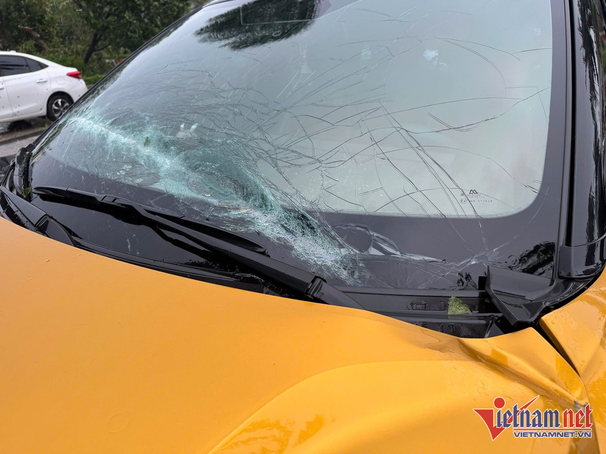 W-xe bể  kính 9.jpg