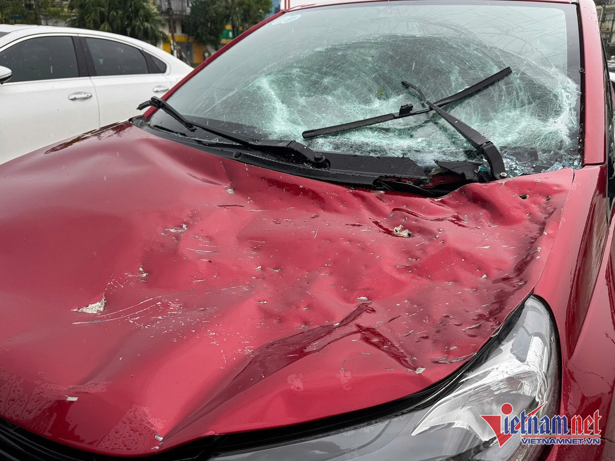 W-xe bể kính 6.jpg