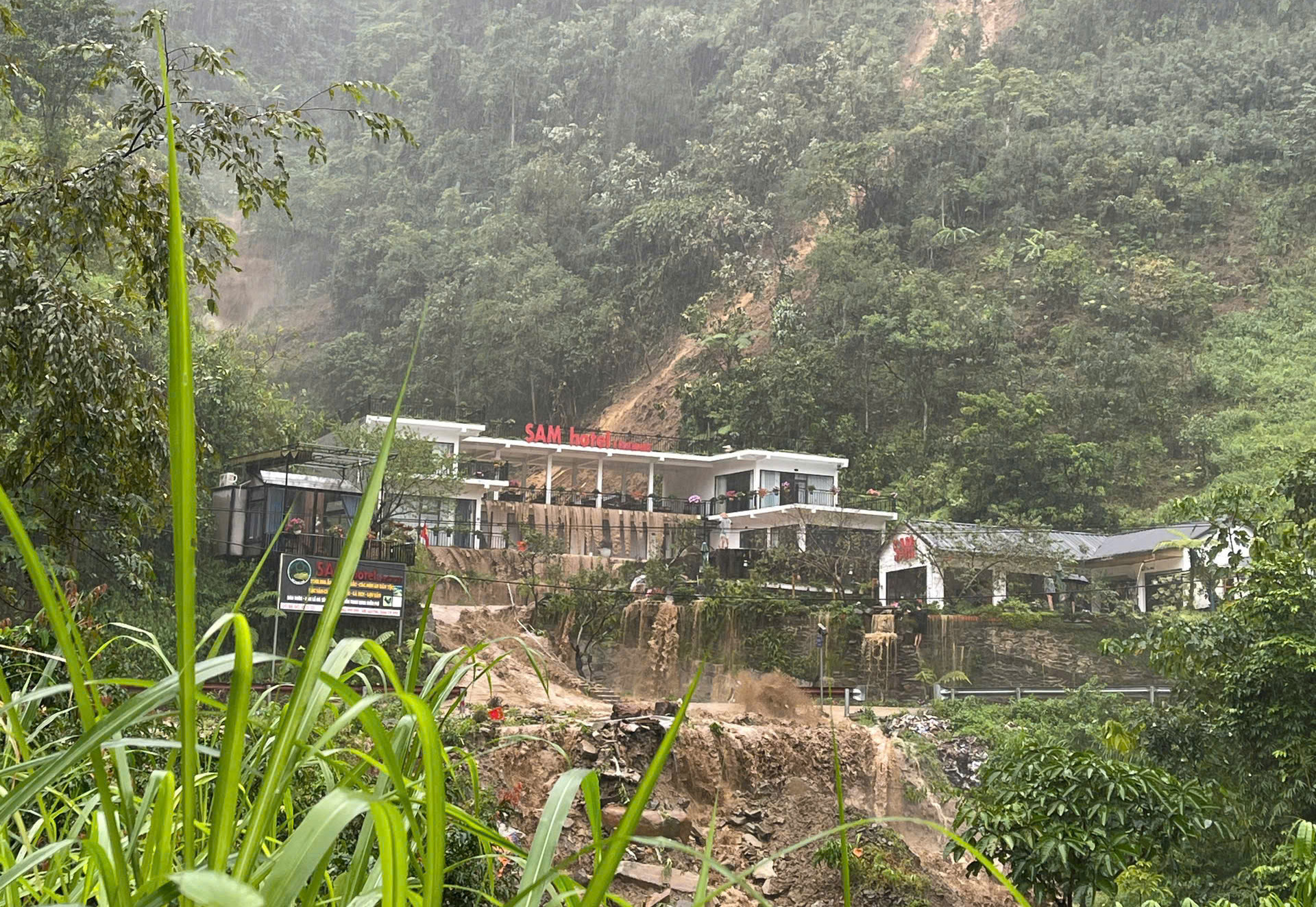 tu le.jpg