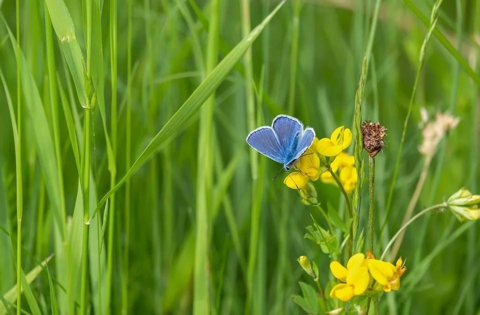 Tháng sinh Âm lịch của những người phụ nữ có sắc đẹp, trí tuệ và phúc khí hội tụ- Ảnh 4.