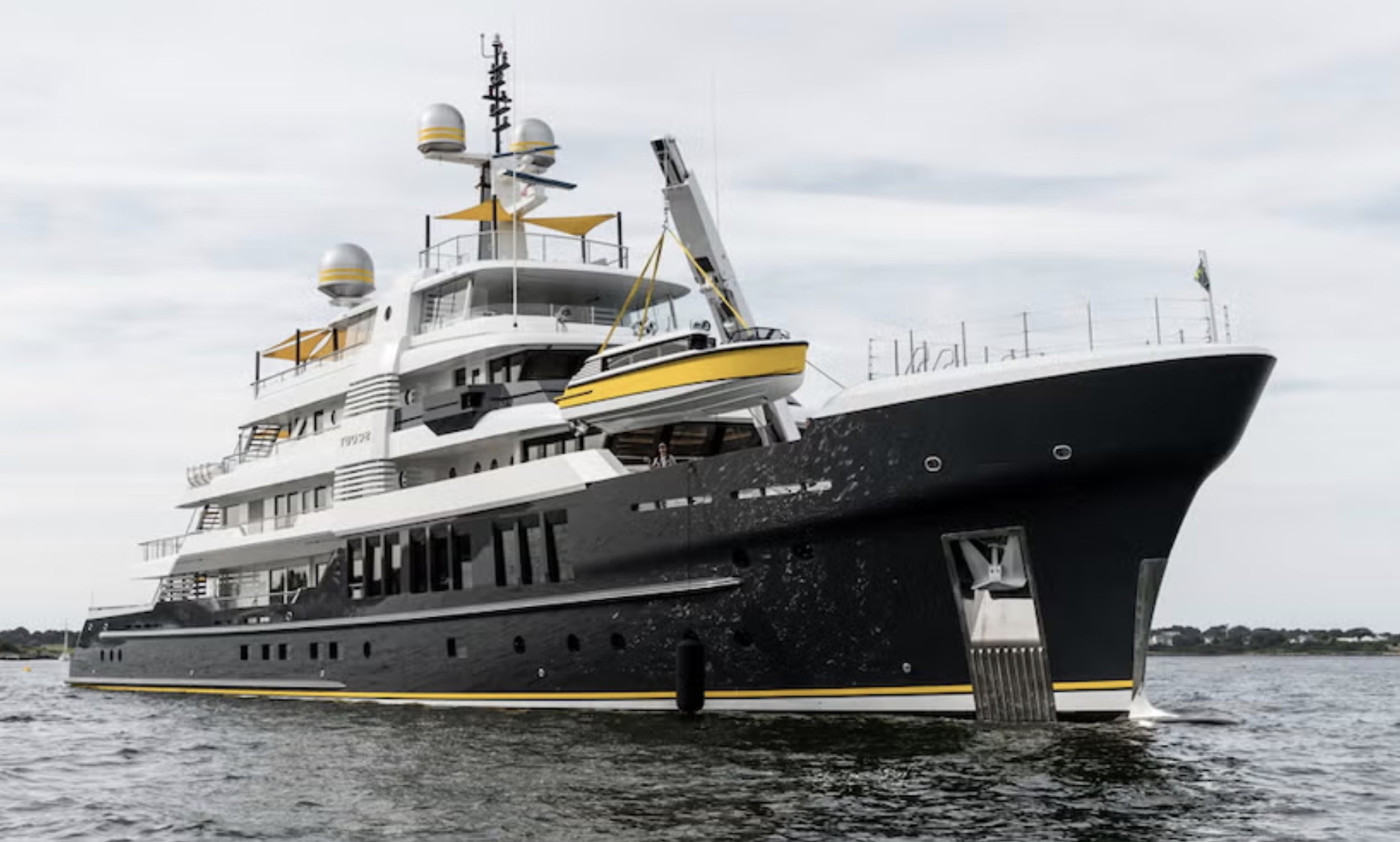 Du thuyền thân thiện với chó. Ảnh: Elite Traveler