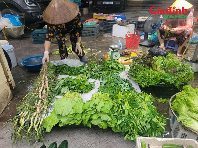 rau xanh 1.jpg