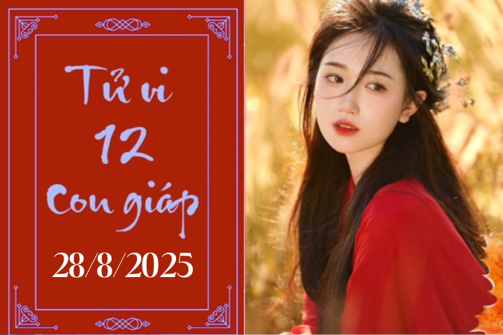 Tử vi 12 con giáp hôm nay ngày 28/8/2025: Mão khó khăn, Thìn khởi sắc