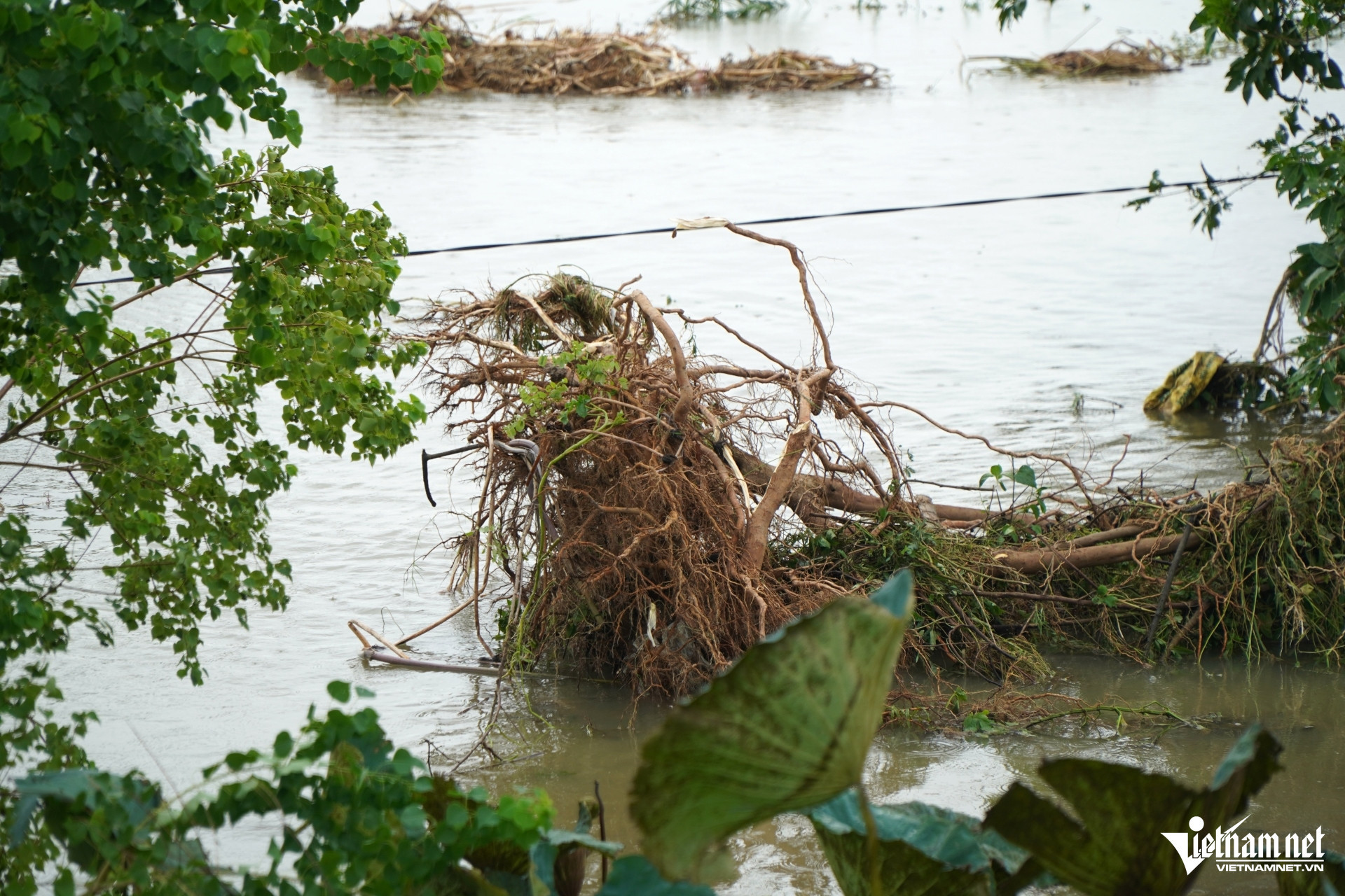 W-a3Vỡ kênh trong đêm.JPG.jpg