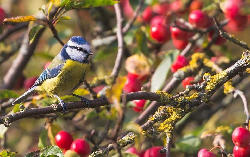 Tháng sinh Âm lịch của người tràn đầy nhiệt huyết, có cuộc đời rực rỡ như hoa lựu tháng 5 nở rộ - Ảnh 4.