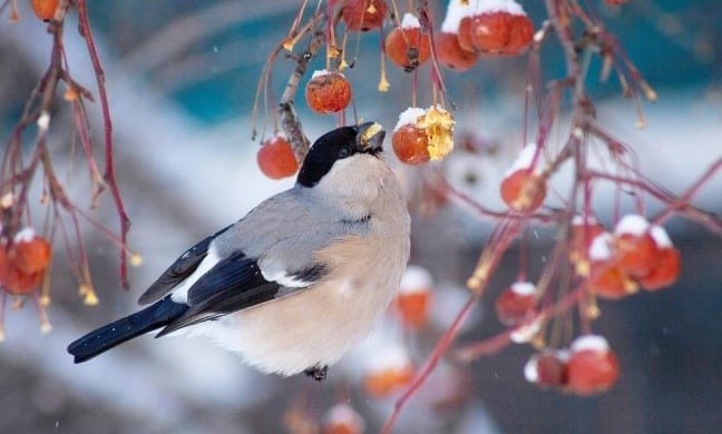 Tháng sinh Âm lịch của người tràn đầy nhiệt huyết, có cuộc đời rực rỡ như hoa lựu tháng 5 nở rộ - Ảnh 1.