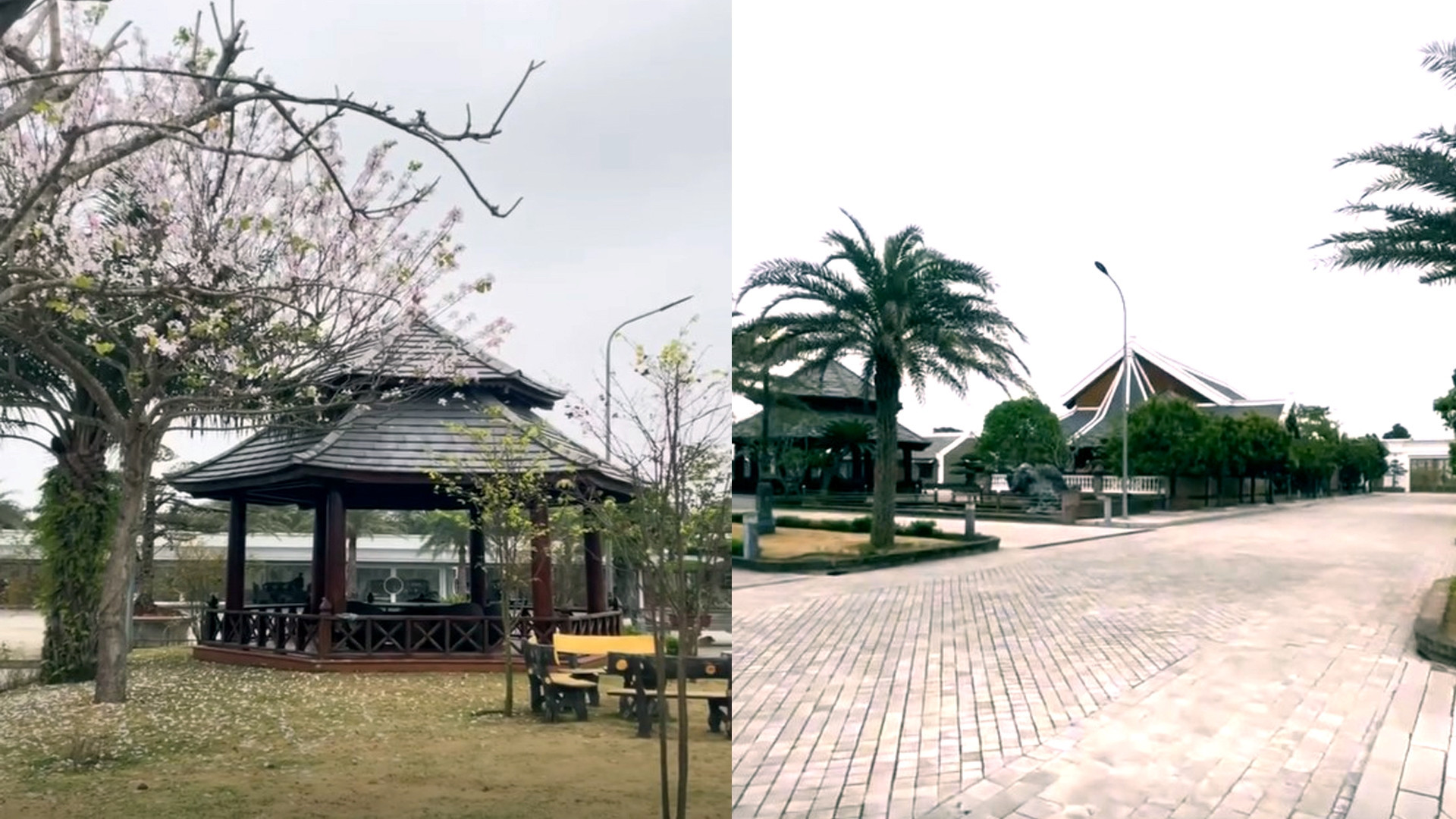 a4thú chơi xe tiền tỷ.jpg