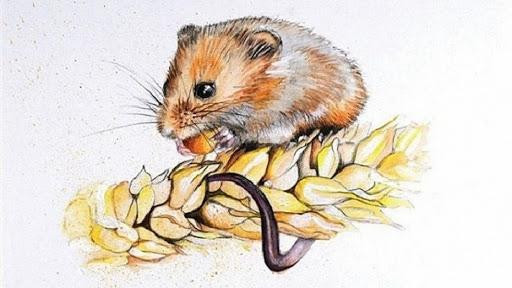 Tử vi 12 con giáp thứ Bảy ngày 3082025