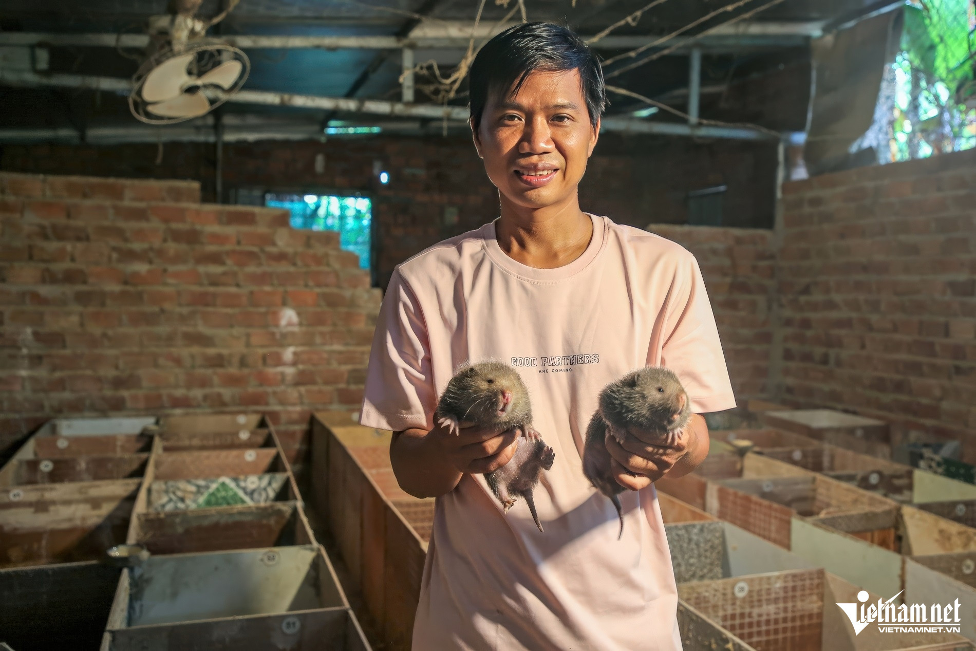 W-Anh 1 gigapixel standard v2 4x faceai.jpeg