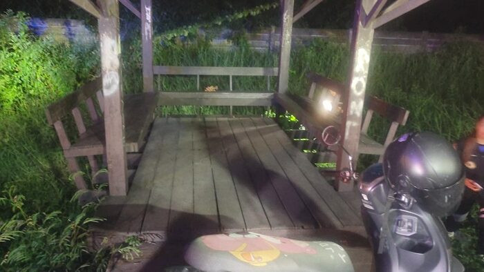 Đang đi dạo, người phụ nữ rụng rời tay chân khi thấy thứ nằm trong bụi cỏ - Ảnh 1.