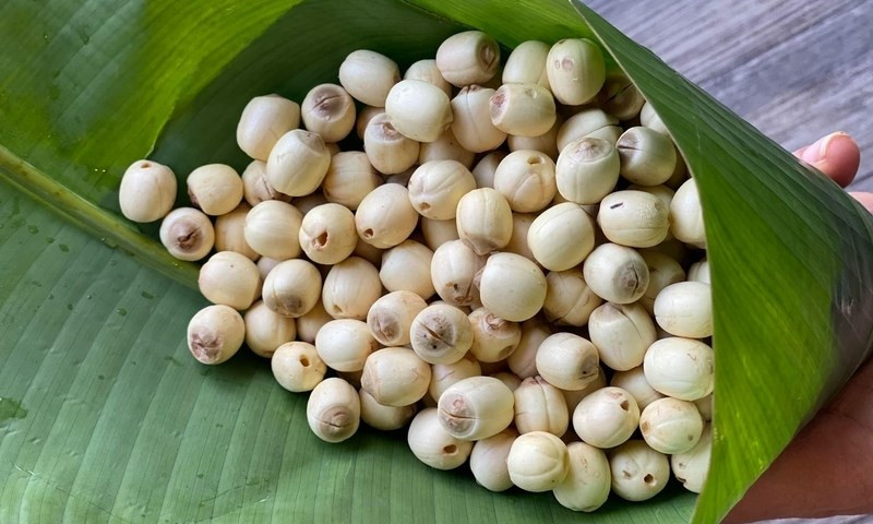 4 món ăn bài thuốc giúp phòng và trị đau cổ vai gáy- Ảnh 3.