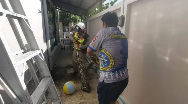 Nhìn lên trần nhà, người phụ nữ bắt gặp cảnh tượng nổi da gà - Ảnh 2.