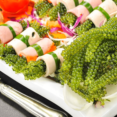 'Siêu thực phẩm' bảo vệ sức khỏe tim mạch có sẵn ở biển Việt Nam, bán đầy trong các siêu thị, chế biến nhiều món ngon- Ảnh 3.