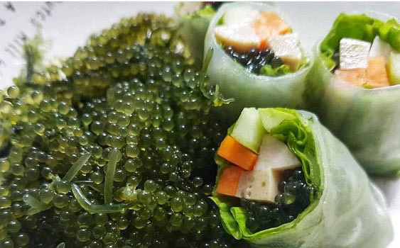 'Siêu thực phẩm' bảo vệ sức khỏe tim mạch có sẵn ở biển Việt Nam, bán đầy trong các siêu thị, chế biến nhiều món ngon- Ảnh 2.