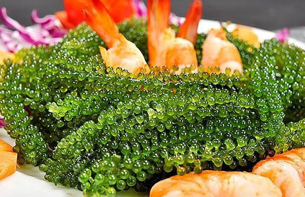 'Siêu thực phẩm' bảo vệ sức khỏe tim mạch có sẵn ở biển Việt Nam, bán đầy trong các siêu thị, chế biến nhiều món ngon- Ảnh 11.