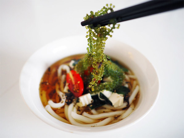 'Siêu thực phẩm' bảo vệ sức khỏe tim mạch có sẵn ở biển Việt Nam, bán đầy trong các siêu thị, chế biến nhiều món ngon- Ảnh 9.