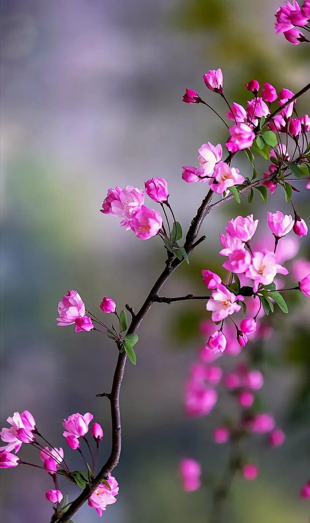 Tháng sinh Âm lịch của người tài hoa, đi đâu cũng được trọng dụng- Ảnh 1.