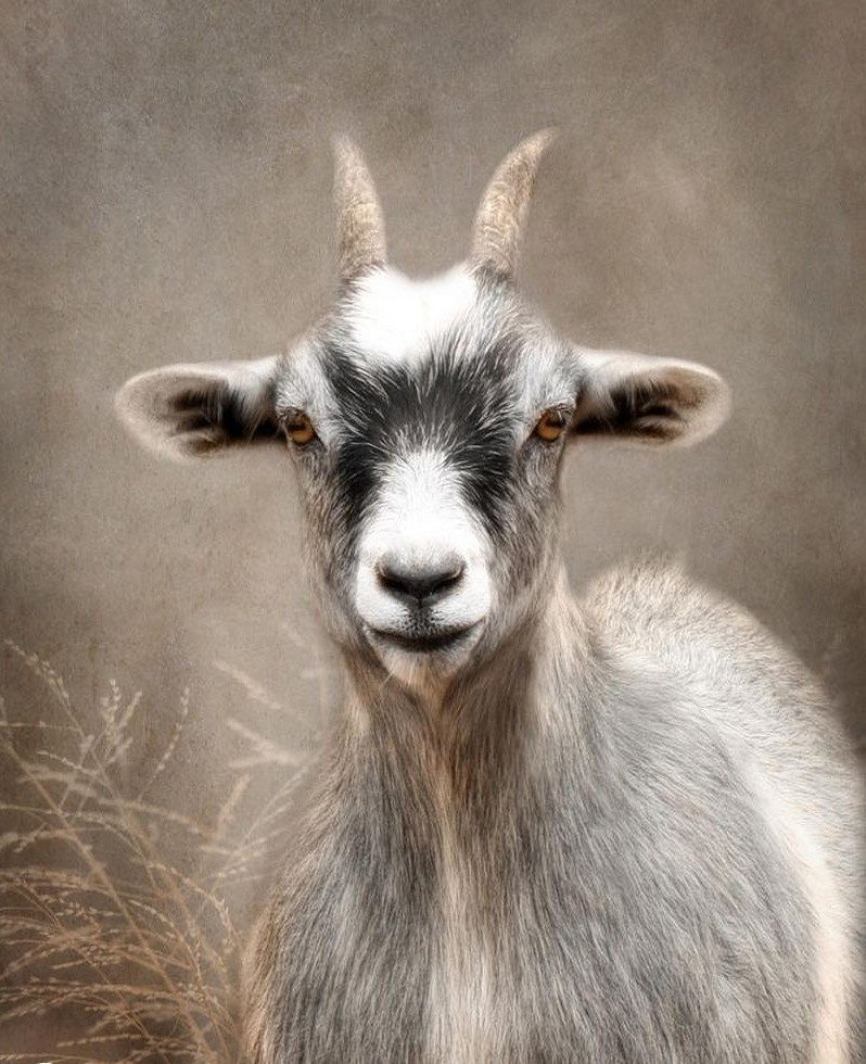 Tử vi 3 con giáp may mắn nhất thứ sáu 88 May mắn triền miên tiền đồ rực sáng