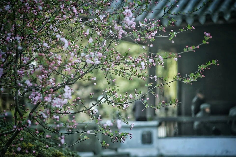 Ngày sinh Âm lịch của người dù sinh ra nghèo khó thì vẫn kiên trì, nỗ lực viết lại vận mệnh- Ảnh 2.