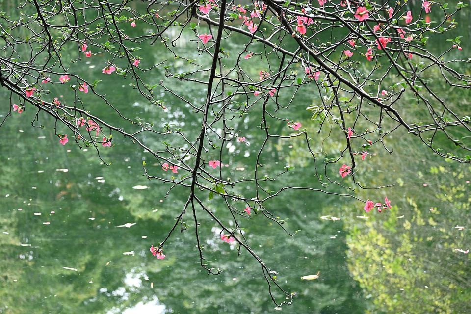 Ngày sinh Âm lịch của người dù sinh ra nghèo khó thì vẫn kiên trì, nỗ lực viết lại vận mệnh- Ảnh 1.