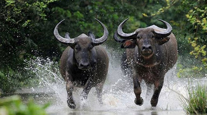 4 con giáp ‘hốt lộc trời cho’ tháng 9 Tiền đổ về túi sự nghiệp thăng hoa đời sang trang mới