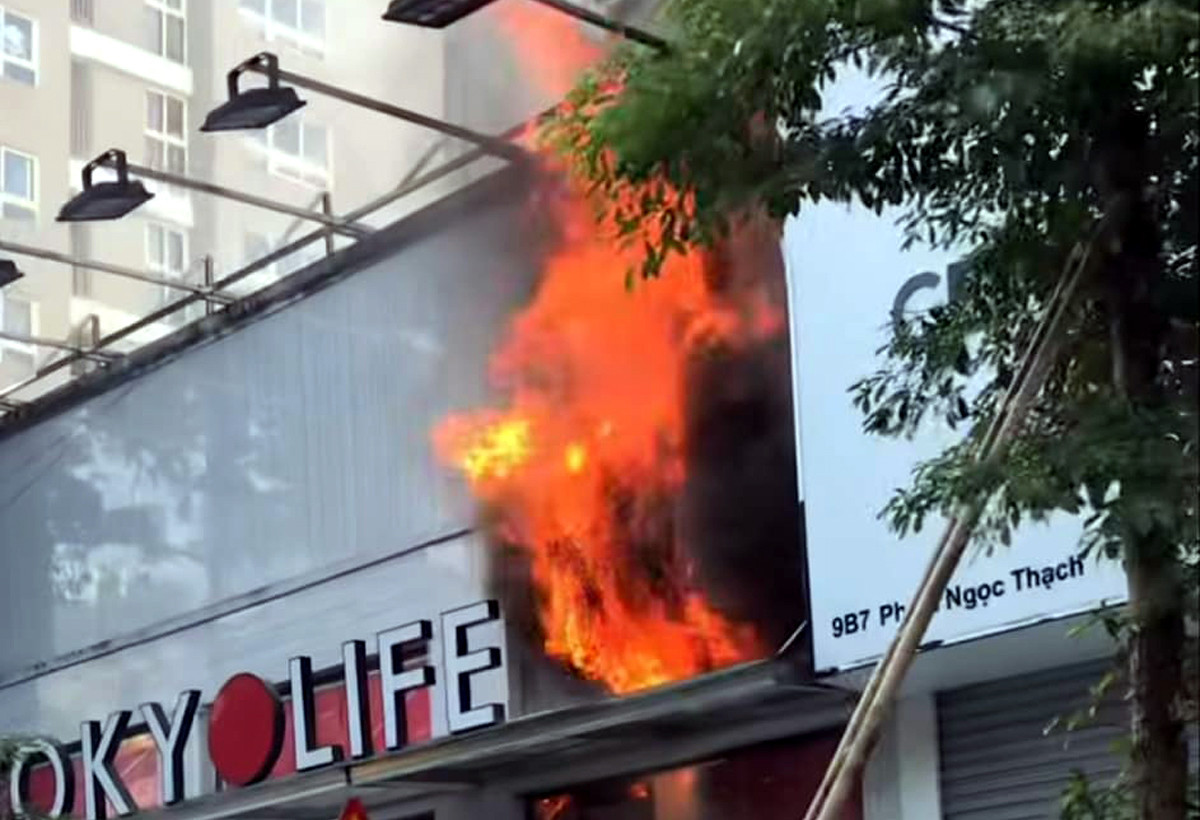 aa919cf9 d0f5 4387 8cbc 24024f107686.jpg