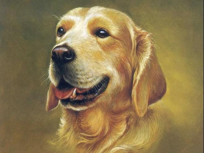 Tử vi 12 con giáp thứ Bảy ngày 982025 Thìn vượng tài Thân gặp quý nhân