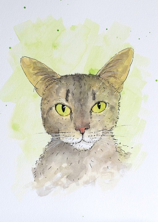 Tử vi 12 con giáp thứ Bảy ngày 982025 Thìn vượng tài Thân gặp quý nhân