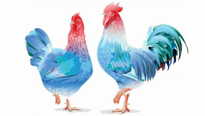 Tử vi 3 con giáp may mắn nhất thứ Ba 29 Bứt phá tài chính bộn tiền về tay