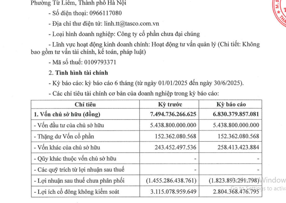 TascoAuto 2025H1.jpg