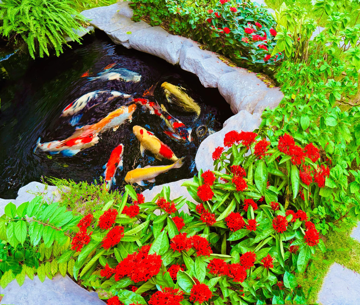 image 1757395484113680941231.jpg