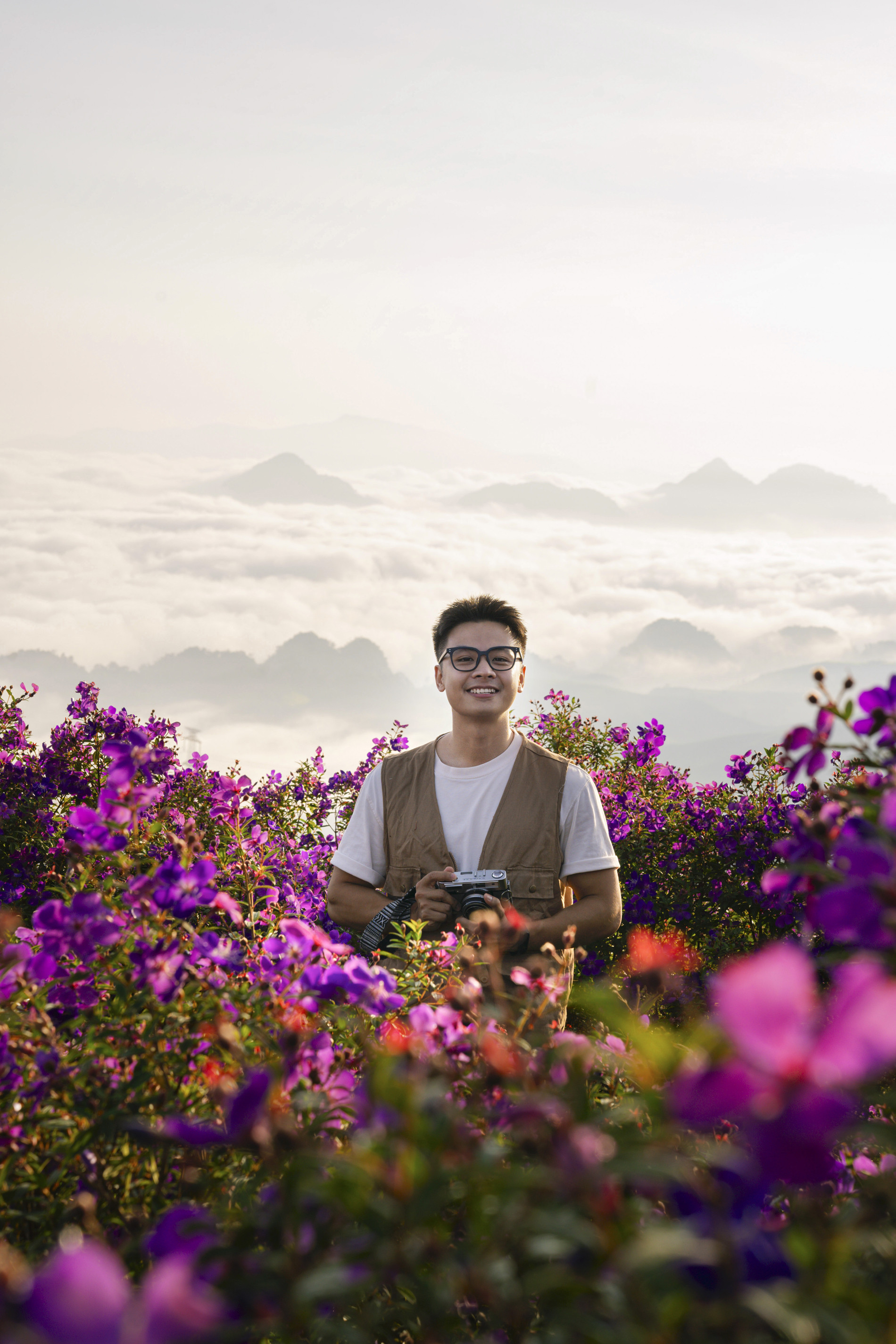 đồi hoa sim tím.jpg