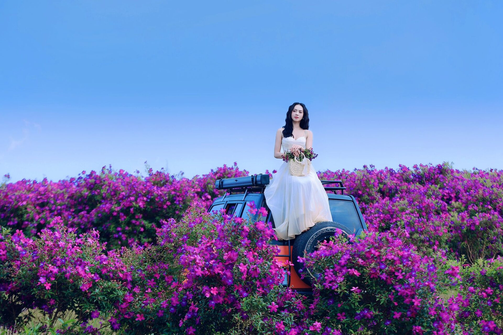 đồi hoa sim suối bon2.jpg