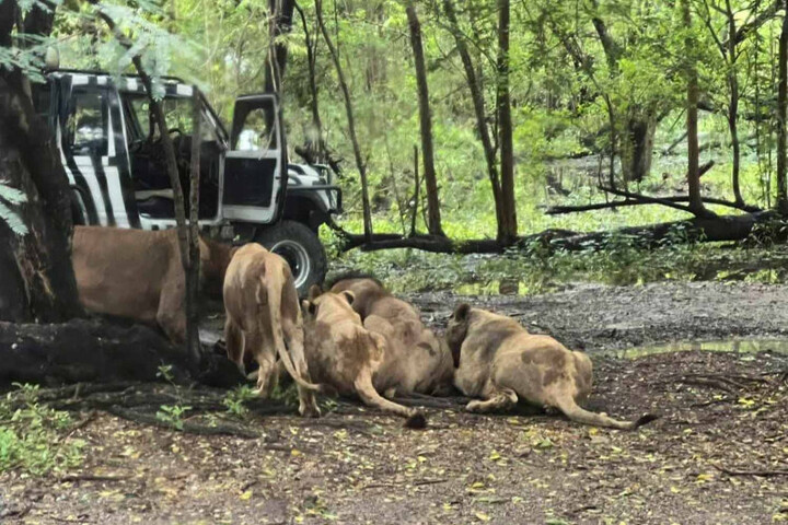 Bức ảnh lan truyền trên mạng sau vụ việc.