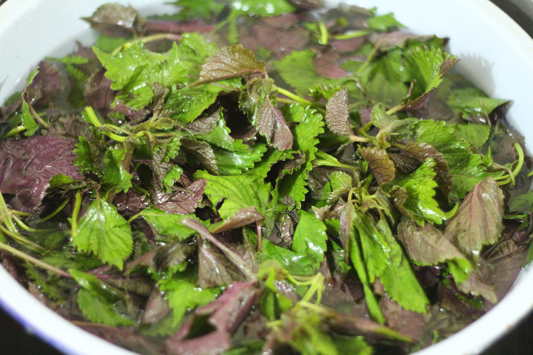 Loại lá giúp thải độc gan, quyét sạch mỡ máu được bán đầy chợ Việt, mua chỉ 5k đủ dùng cho cả nhà - Ảnh 3.