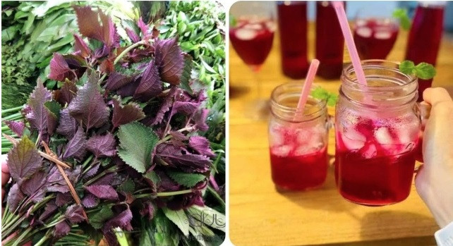 Loại lá giúp thải độc gan, quyét sạch mỡ máu được bán đầy chợ Việt, mua chỉ 5k đủ dùng cho cả nhà - Ảnh 2.