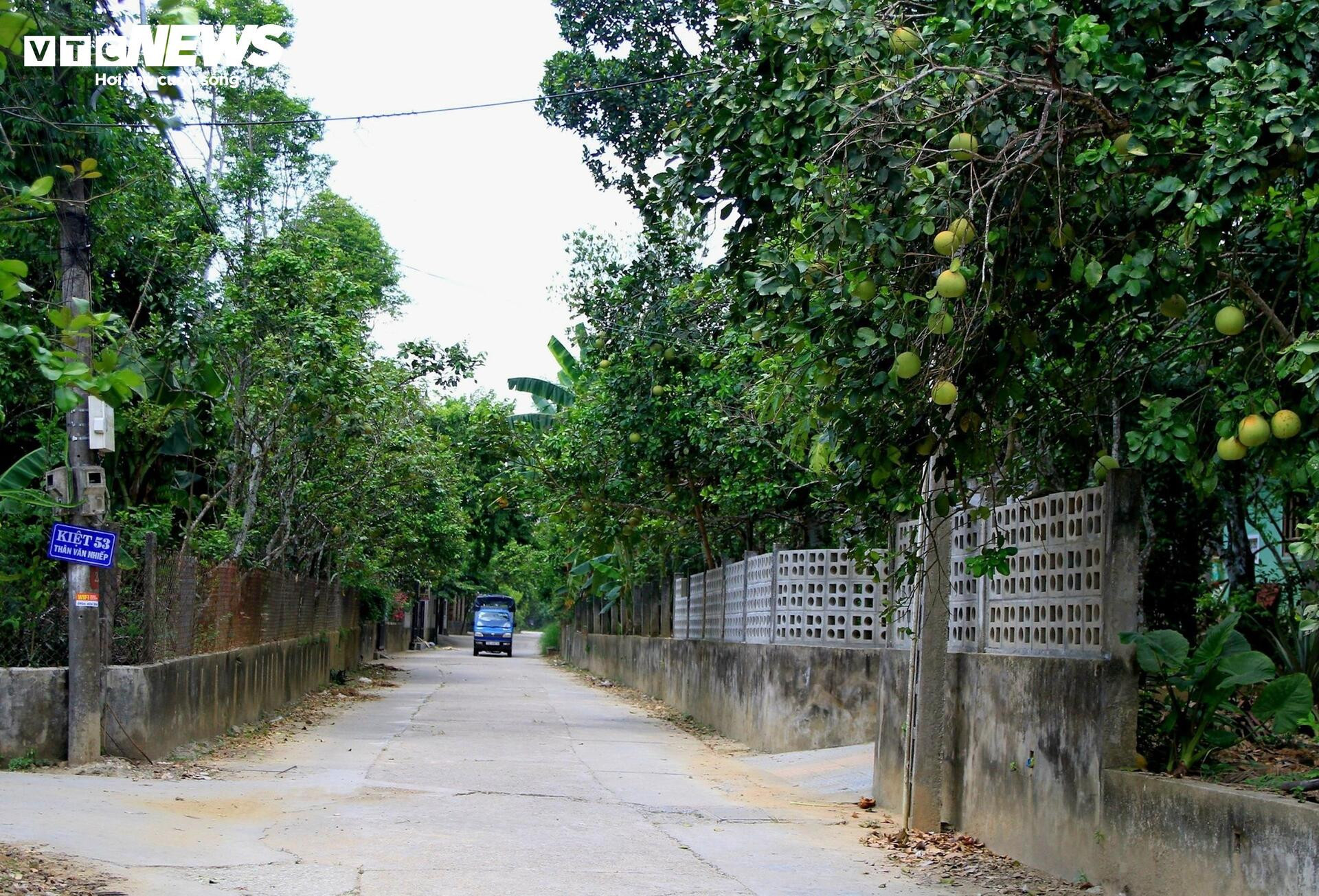 Đặc sản ‘tiến vua’ được mùa, được giá, người dân đếm cây thu tiền triệu mỗi ngày - 1