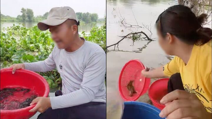 Những phiên livestream phóng sinh online thu hút nhiều người xem trong thời điểm Rằm tháng 7 Âm lịch. (Ảnh chụp màn hình)