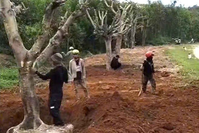 z7019930945426_d295354ddd2c16d25f938e93bb163fb9   Sao chép.jpg