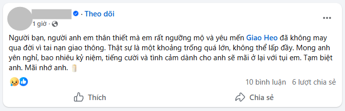 Bạn thân hé lộ nguyên nhân khiến Youtuber Giao Heo đột ngột qua đời