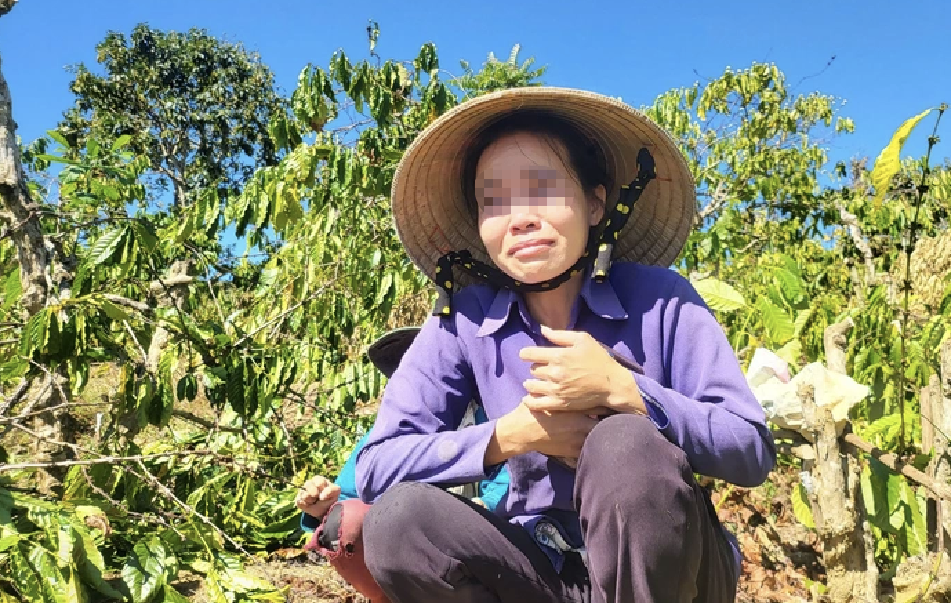 Diễn biến bất ngờ vụ anh rể phá vườn cây