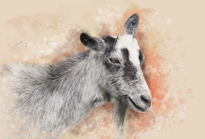 Tử vi 3 con giáp may mắn nhất thứ Tư 39 Kiếm tiền không ngừng giàu lên nhanh chóng